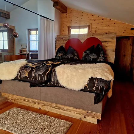 公寓 Faschingalm Loft *