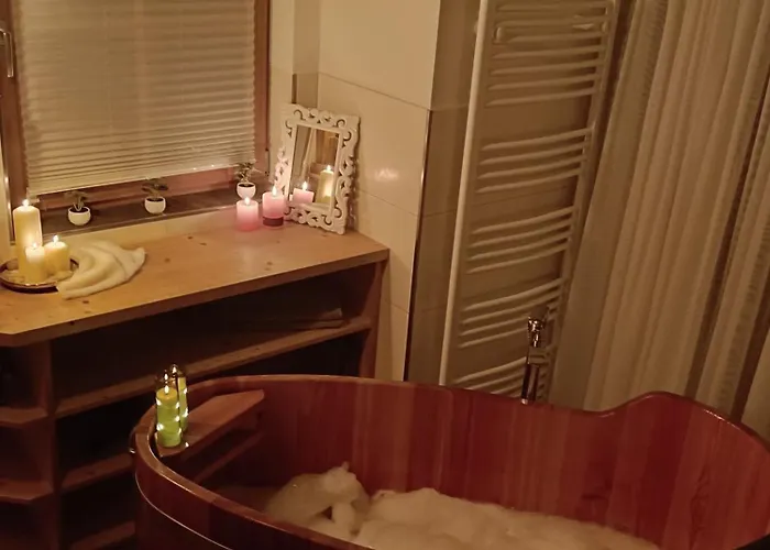 Faschingalm Loft 公寓 *