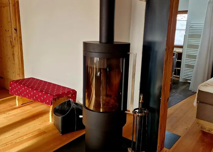 Faschingalm Loft 公寓 *