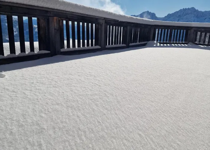 Faschingalm Loft 公寓 *